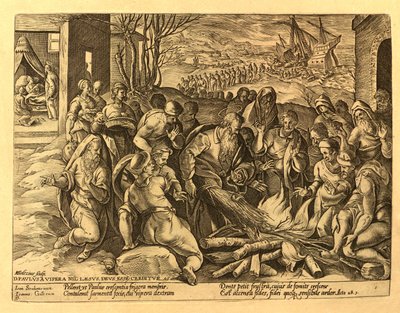 History of the New Testament by Unbekannt Unbekannt